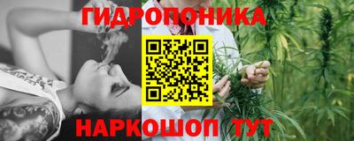 PSILOCYBIN Кудрово