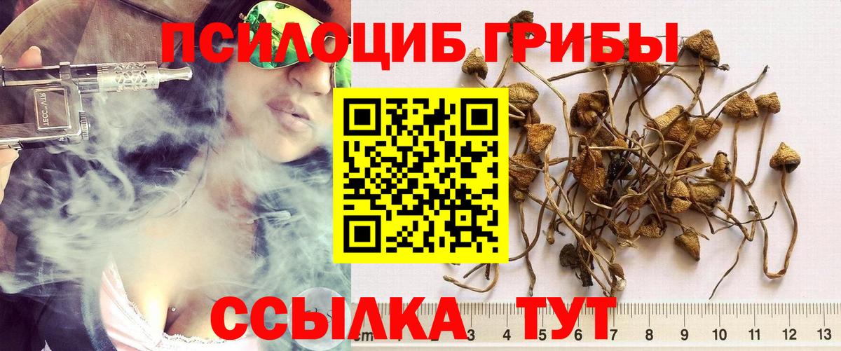 Галлюциногенные грибы MAGIC MUSHROOMS Гулькевичи