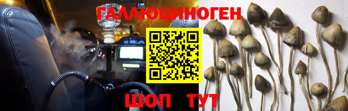 Гулькевичи  Галлюциногенные грибы мицелий  Вход с VPN 